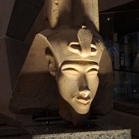 Inevitable Archie Narten