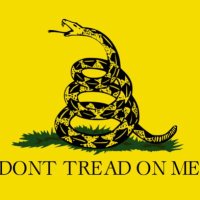 David 🏴🏴󠁧󠁢󠁥󠁮󠁧󠁿🏴󠁧󠁢󠁥󠁮󠁧󠁿🇦🇩🐍