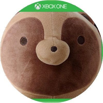 どぅ〜みん(º(・)º)📮