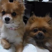 谷本惠美🐾🐾