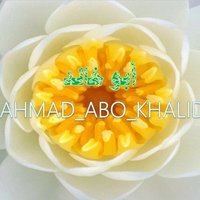 أحمد العبد العزيز آل علي