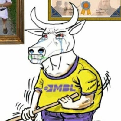 GADO MBL ⬛️🟨⬜️