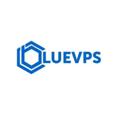 Bluevps Hosting Company