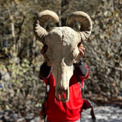 ನಾನವನಲ್ಲ