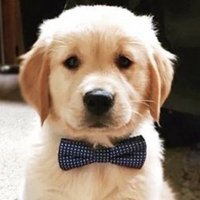 Conservador.Oprimido