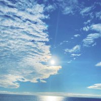 zumin 즈민💫🐨💗🫧