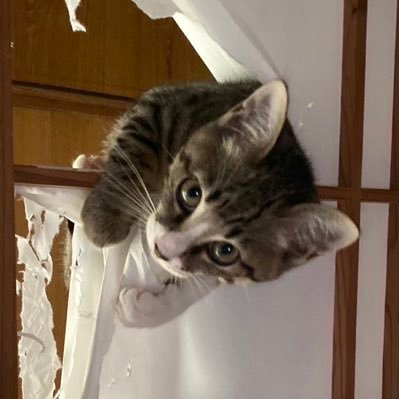 とある家族の悠々自適