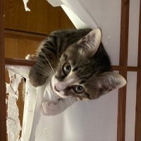 とある家族の悠々自適