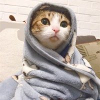 Margarett Tabasco Reddio