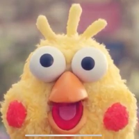 ぽいふる🌾🐈