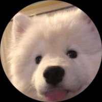 พี่ซินรักกต 🐰