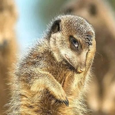 Kelly_j🇱🇾🎖️