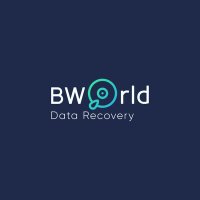 Bworld Data Recovery Services