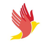 Free Yezidi Foundation