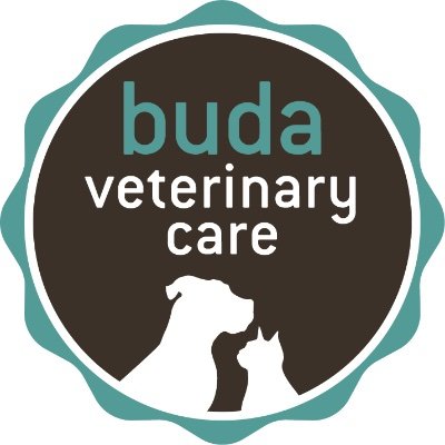 Buda Vet Care