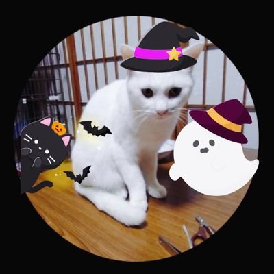 たろう（移民はもういらん）