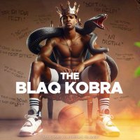 BlaqKobra 🐍