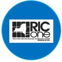 RIC One Data Privacy & Security