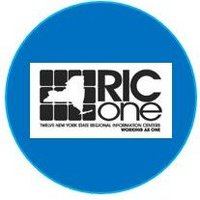 RIC One Data Privacy & Security