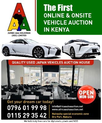 JUMBO AAA HOLDING - SEZ LTD