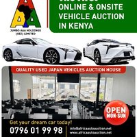 JUMBO AAA HOLDING - SEZ LTD