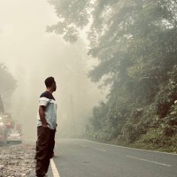 Love for Reality Show