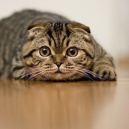 Crypto User π² 🌶️ #CrunchieOG 🍻