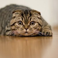 Crypto User π² 🌶️ #CrunchieOG 🍻