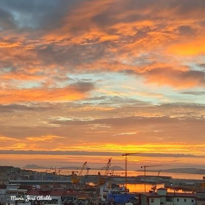 María José Alcalde