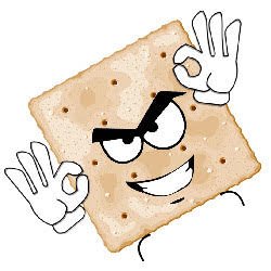 Salty Cracker