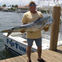 Let The Fatwa Games Begin AGAIN.com