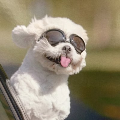 Living In CA 🌴☀️🇺🇸