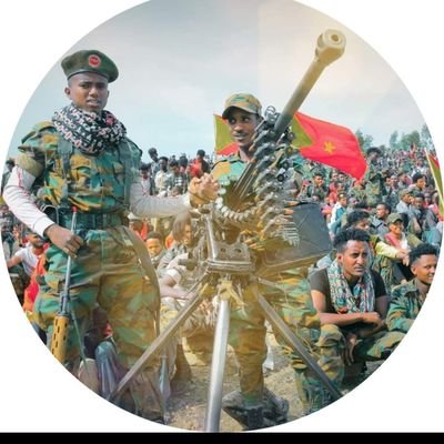 Tigest F. Lemlem, Ph.D.