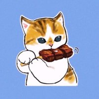 おい 🐈‍⬛🤍 いろふぁ