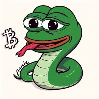 Kevin Ravens₿erg ⚡️