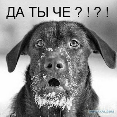 Василий Шинкеев