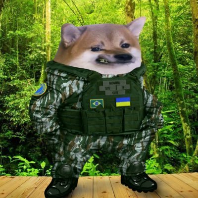 NAFO Brazilian Fella 🇧🇷🇺🇦