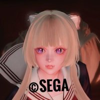 サイネリアship9