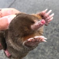 玉 【釣りとロック】