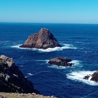 Paul V - Sense amid madness, wit amongst Folly.