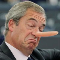 FibbyMcFibFace #RejointheEU