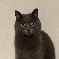 せばせば_あっつん