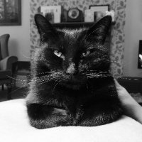 Nicky Heppenstall⁷🇪🇺 🇺🇦