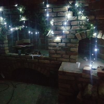 豆柴 .Moss🫎 Zetarium⚡️ZugChain EmoFi