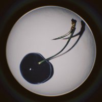 Kusano Clover (Comms Open)