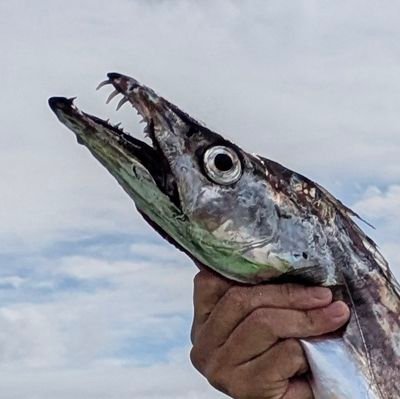 JIG男(ジグオ)☆敗北しか知らない