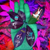 सोनालिका मिश्रा