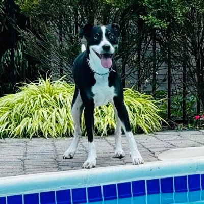 🐲 Matt Burgdorff 🐲