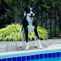 🐲 Matt Burgdorff 🐲