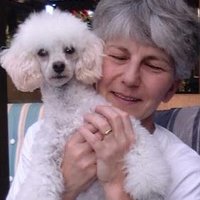 Food4Dogs :: Trails! | TalesOf!